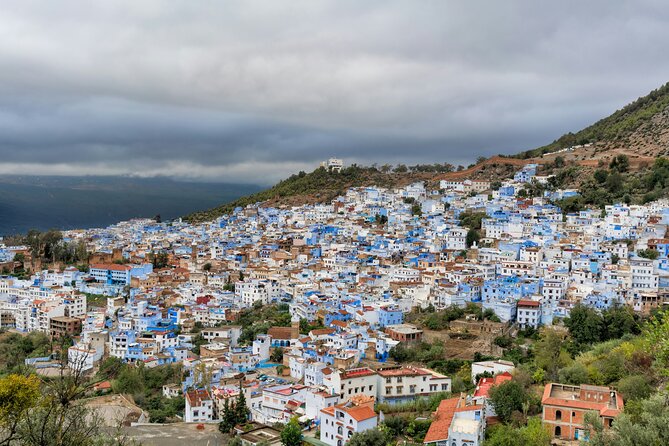 Chefchaouen Day Tour - Contact and Support
