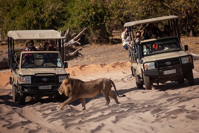 Chobe Day Trip Ex Livingstone / Victoria Falls - Tour Inclusions