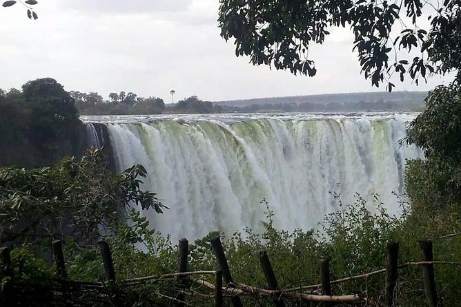 Chobe Day Trip From Victoria Falls - Reviews