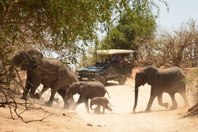 Chobe Full Day Trip - Booking Process