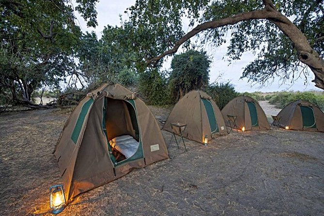 Chobe National Park Camping Safari From Victoria Falls (2 Days and 1 Night) - Customer Testimonial