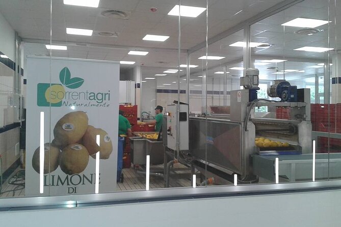 Coastline Tour : Sorrento, Positano, Amalfi With Lunch - Pricing and Cancellation Policy