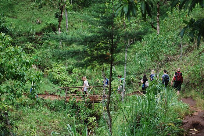 Coffee Tour Experience From Arusha - Coffee Tasting Session