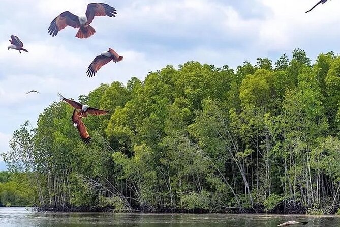 Combo - Cable Car & Sky Bridge And Tg. Rhu Mangrove Private Boat Tour With Lunch - Recommendations