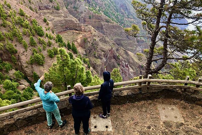 Come Discover the Island of El Hierro in a Small Group - The Sum Up