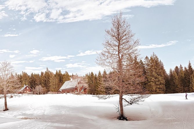 CROSS-COUNTRY SKIING: Winter Trip to Bohemia Mountains - Price Details