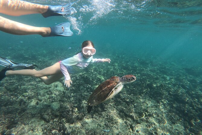 Cruises to Daymaniyat & Snorkeling - Booking Information