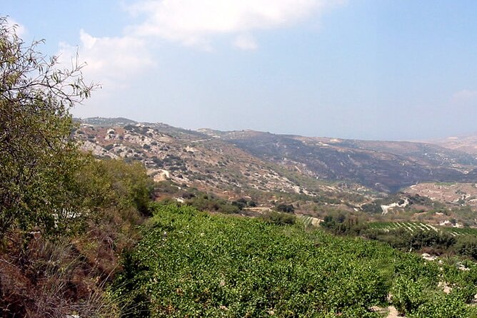 Cyprus BBQ Grilling Class at a Wine Village Villa in Paphos - What to Expect