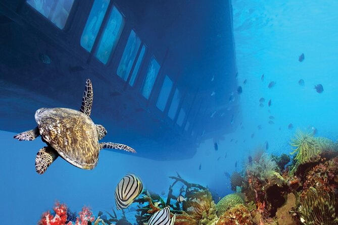 Dahab: Royal Seascope Submarine Guided Boat Tour - Customer Reviews
