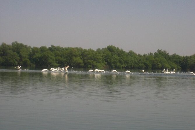 **Danube Delta Trips on the Camely Boat: Departing From Tulcea** - Meeting and Pickup