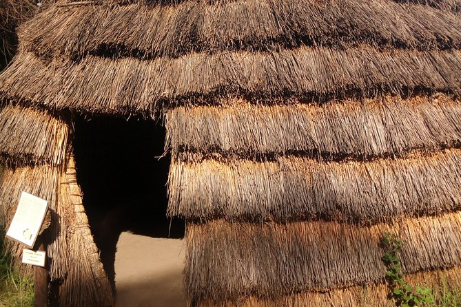 Dar Es Salaam City Tour and Beach Leisure - 9 Hours - Cultural Insights
