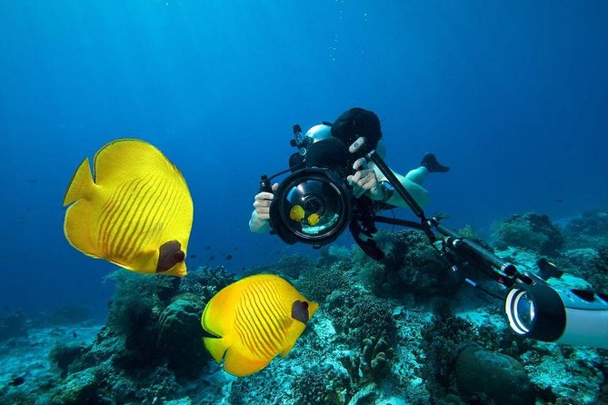 Day Scuba Diving From Marsaalam