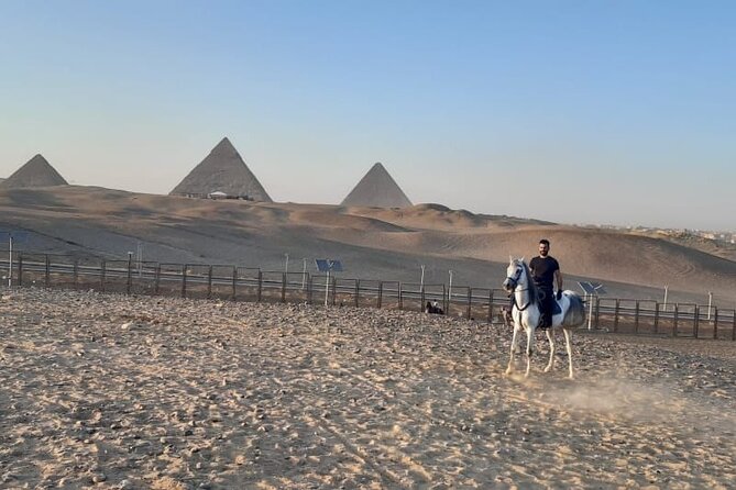 Day Tour to Pyramids and the Egyptian Museum From Cairo - Tour Inclusions