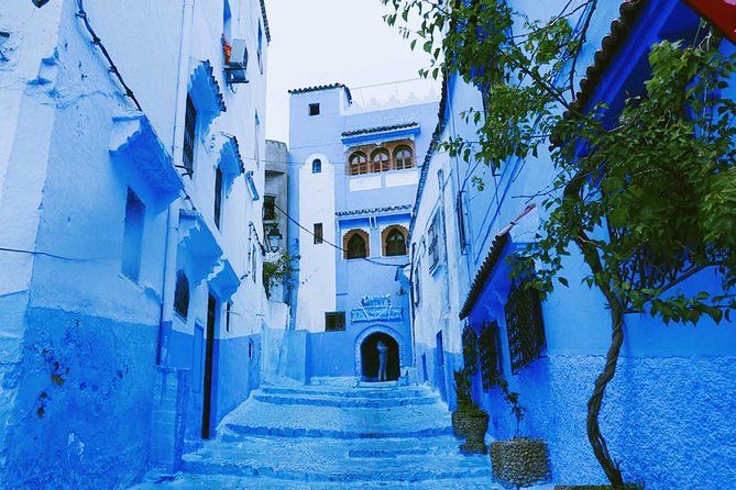 Day Trip From Fes To Chefchaouen - Accessibility Information
