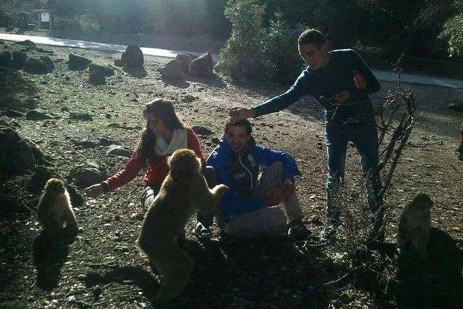Day Trip From Fez To The Middle Atlas Mountain IMOUZAR IFRANE AZROU( Private ) - Reviews