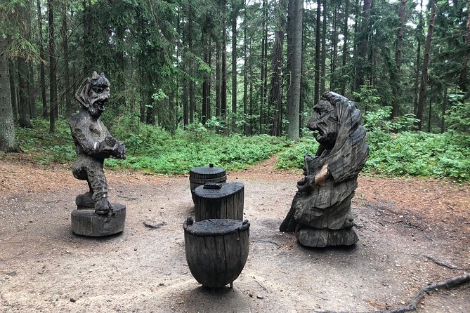 Day Trip From Vilnius to Curonian Spit National Park - Inclusions and Extras