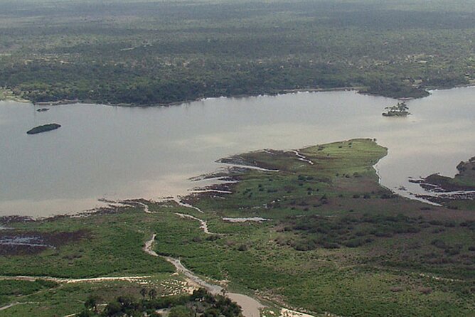 Day Trip Selous Safari Tour From Zanzibar - Tour Highlights