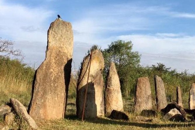 Day Trip to Adadi Mariyam, Tiya and Melka Kunture - The Sum Up