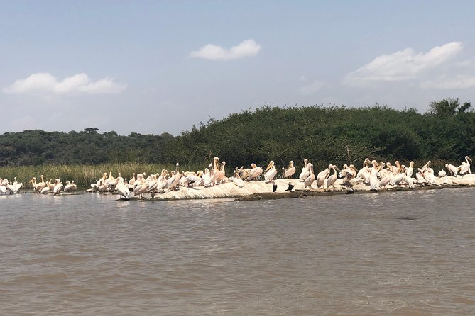 Day Trip To Lake Ziway - Customer Satisfaction and Feedback