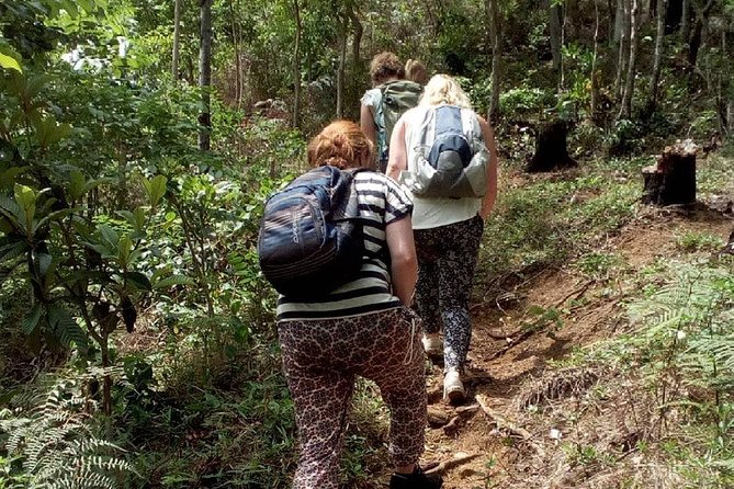 Day Trip To Lupanga Peak - Important Reminders