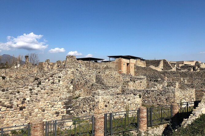 Day Trip to Pompeii and Mount Vesuvius From Naples - Pricing Details