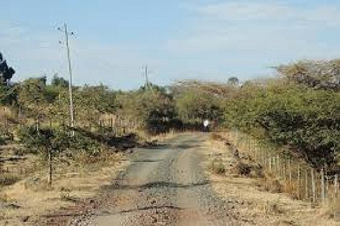 Day Trip to Tiya Stale,Adadi Mariam Rock Church & Melkakutere Tours -Day Trips