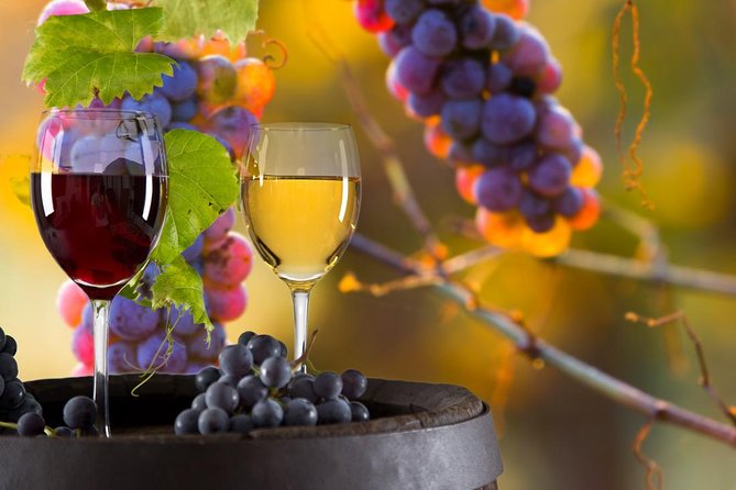 Day Trip: Todi And Montefalco Private Tour + Lunch + Wine Tour With Tasting - Tasting Session
