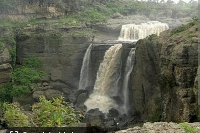 Day Trips From Addis Ababa See Monastery, Nature, Animals, Birds - Bird Watching