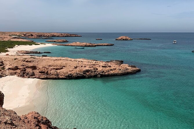 Daymaniyat Islands Snorkeling Sharing Trip - Customer Experiences