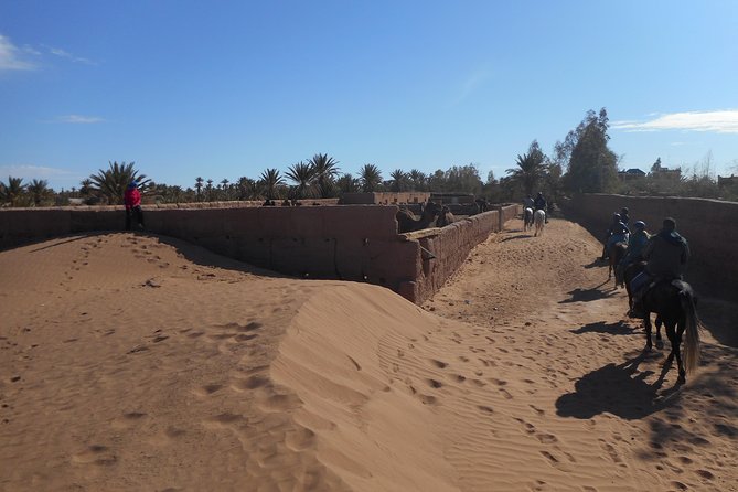 Desert Trail in Morocco on Horseback - Riding Requirements and Recommendations