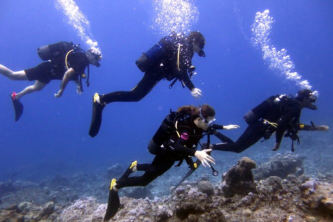 Discover Scuba Diving- EasyDive Lemorne - Pricing and Lowest Price Guarantee