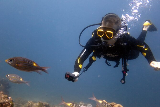 Discover Scuba Diving Experience - Weather-Dependent Cancellation Policy