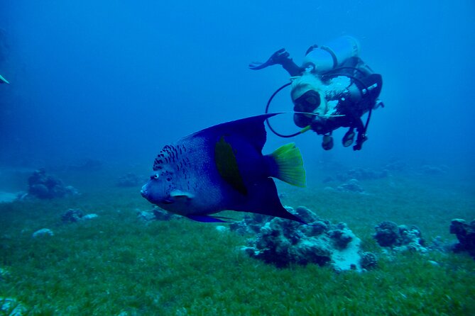 Discover Scuba Diving - Indroductory Dives - Operating Hours and Directions