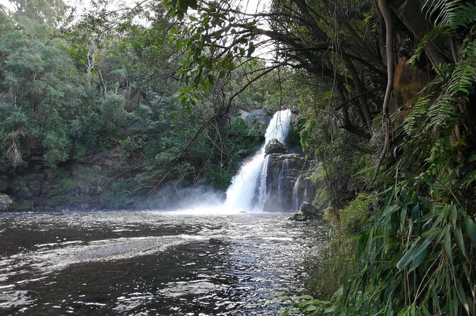 Discovery of Reunion Island The Authentic and Unmissable Wild Coast - Must-Visit Historic Sites