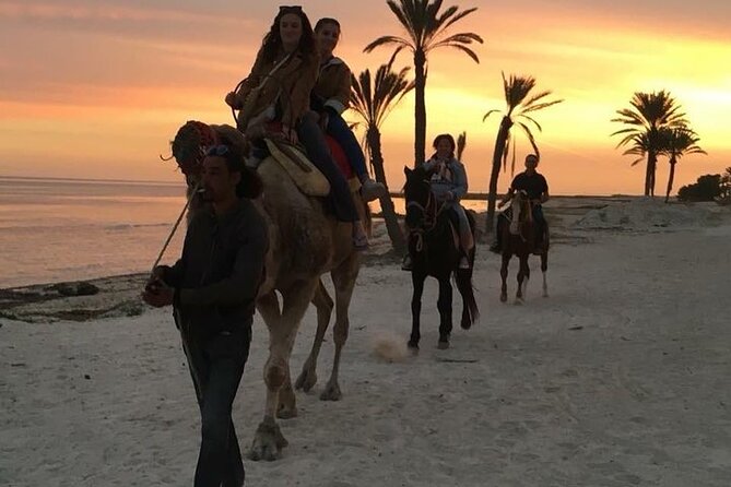 Discovery Ride on Horseback or Camel 2h30 - Customer Experiences