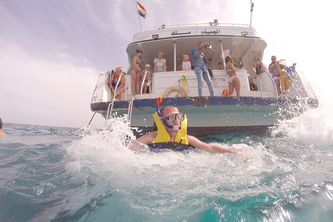 Dolphin House Sea Trip - HURGHADA VIP - Operator Details