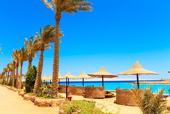 Dolphin House Snorkeling - Hurghada - Pricing Information