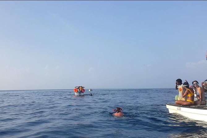 Dolphin Tour and Jozani Forest - Sustainable Tourism Practices