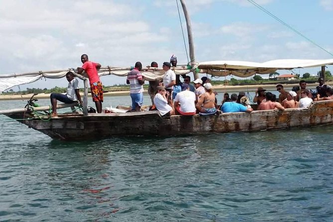 Dolphin Tour - Tour Details