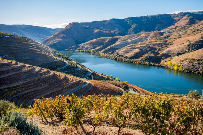 Douro Valley Delights Wine Tasting and Scenic Vistas - Tour Overview