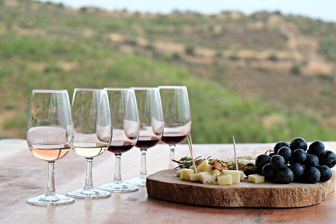 Douro Valley Private Tour With Wine Tastings From 2 Wineries - Pricing and Booking