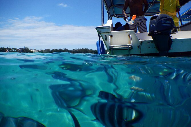 Eastern Treasures of Mauritius: Incl Rhumerie St Aubin & Blue-Bay Marine Park - Direction to Rhumerie St Aubin & Blue-Bay Marine Park