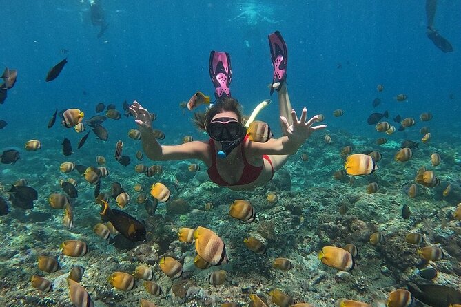 ️Nusa Penida by Private Boat - Snorkeling 4 Spots, Swim With Mantas + Land Tour - Snorkeling Spots Overview