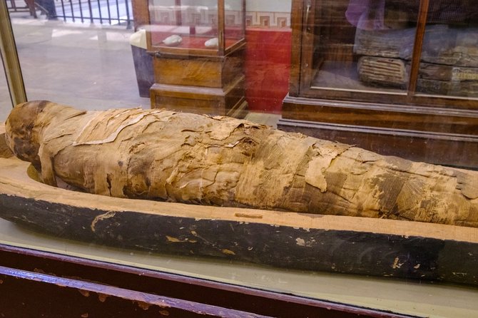 Egyptian Museum Private Half-Day Tour With Pickup - Group Size