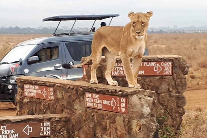 Elephant Orphanage & Giraffe Centre Tour - Tour Recommendations