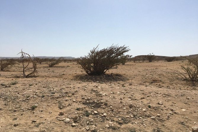 Empty Quarter and a Lost City - Group Travel Recommendations
