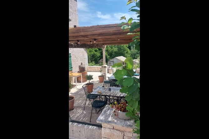 Enchanted Forest Hike and Wine Tasting Private Tour - The Sum Up