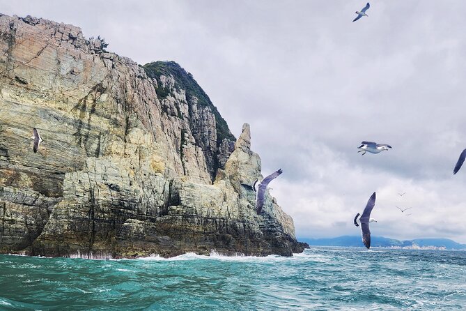 Enchanting Oedo Island Day Tour From Busan - Visitor Reviews