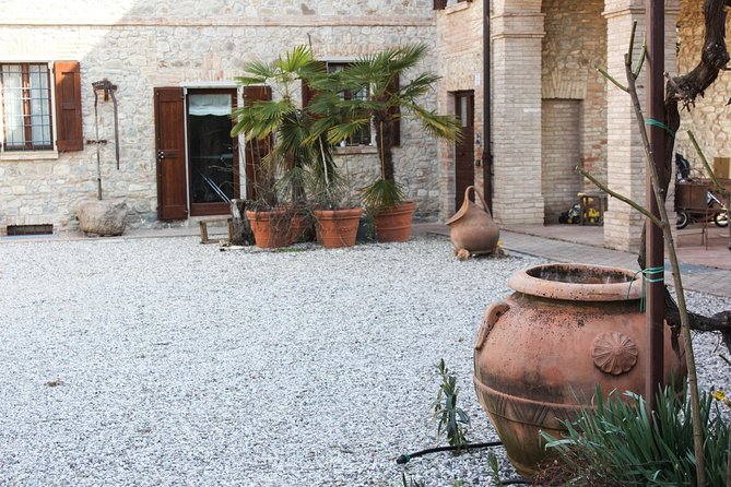 Enjoy a Private Balsamic Vinegar Tour in Vignola, Modena in French or German - The Sum Up