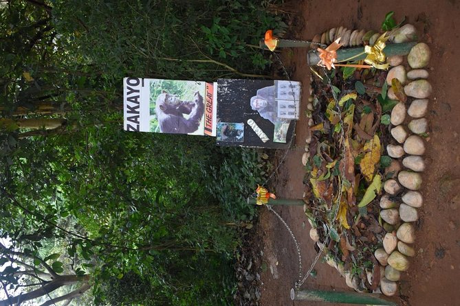 Entebbe Eco Tour - Full Day - Customer Reviews